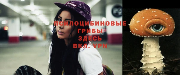 тгк Сосновка