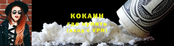 шишки Богородицк