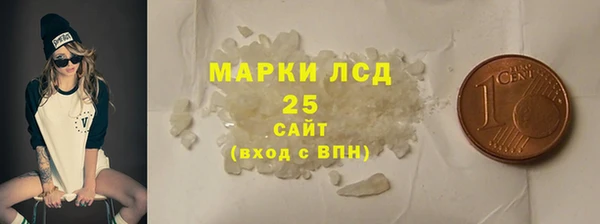 шишки Богородицк