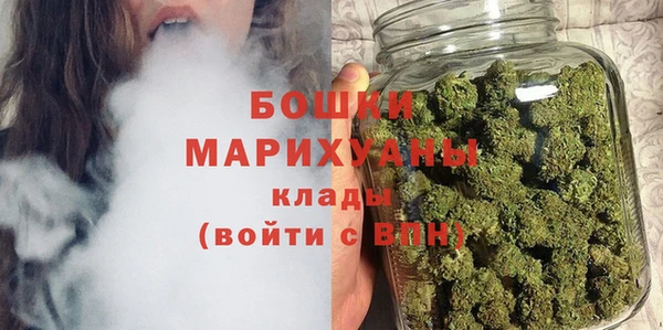 шишки Богородицк