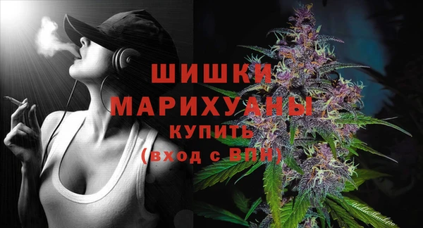 шишки Богородицк
